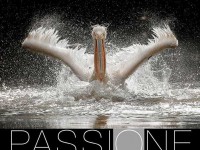 Mostra fotografica Sant’Alessio – Dal 25 Aprile al 31 Maggio 2018- PROROGATA FINO AL 30 SETTEMBRE
