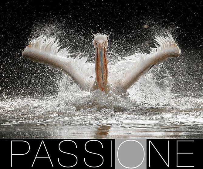 Mostra fotografica Sant’Alessio – Dal 25 Aprile al 31 Maggio 2018- PROROGATA FINO AL 30 SETTEMBRE