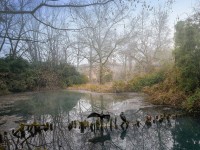 IL PARCO E’ APERTO!