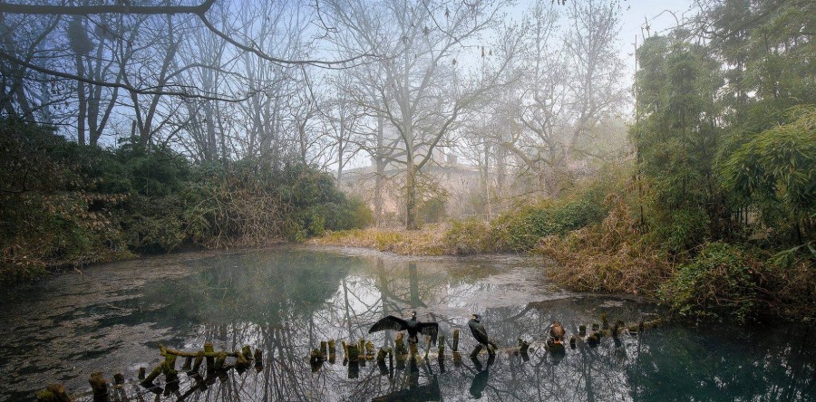 IL PARCO E’ APERTO!