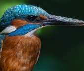FOTO DEL MESE: MAGGIO