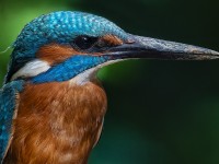 FOTO DEL MESE: MAGGIO